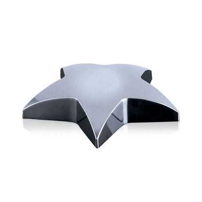 Hollister Star Paperweight