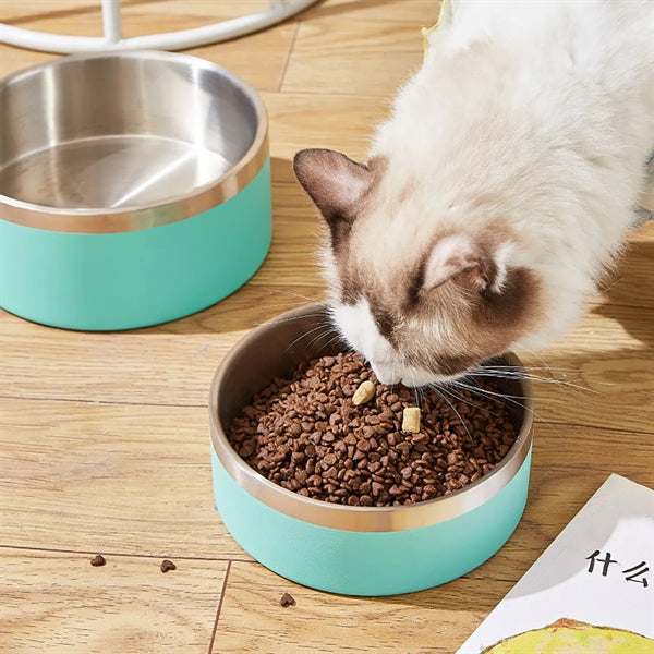 Insulated Dog Bowl