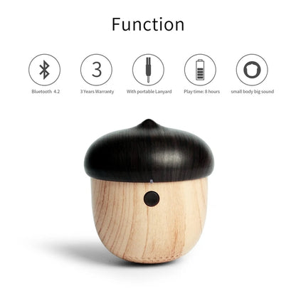 Mini Bluetooth Speaker