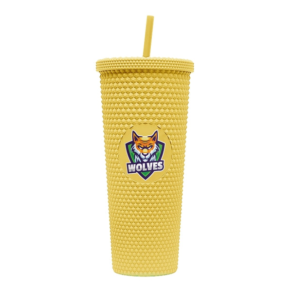 24 oz Studded Tumbler