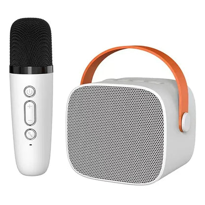 Portable Wireless Karaoke With Microphones