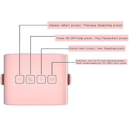 Portable Wireless Karaoke With Microphones