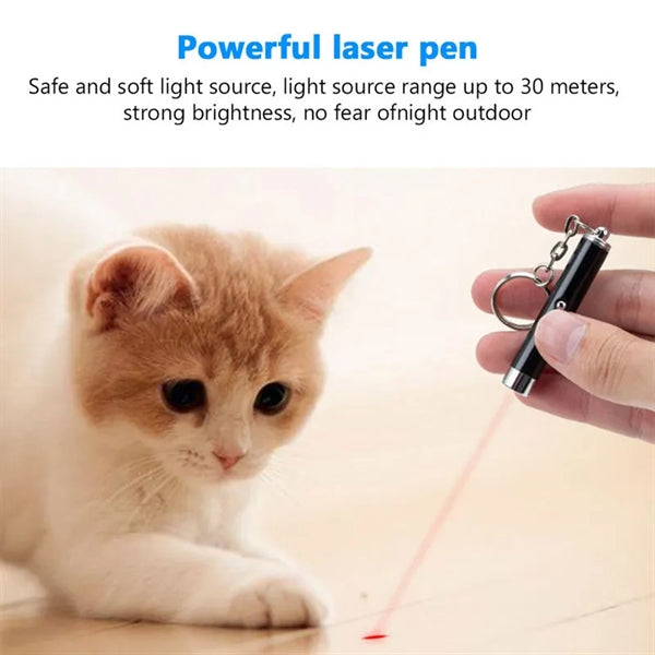 Mini Cat Laser Pointer Pen