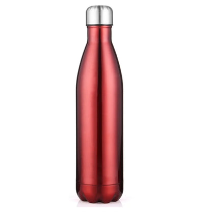 17Oz Stainless Steels Bottle Drinkware