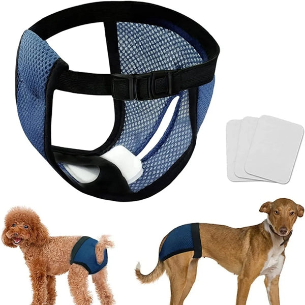 Female Dog Pants in Heat