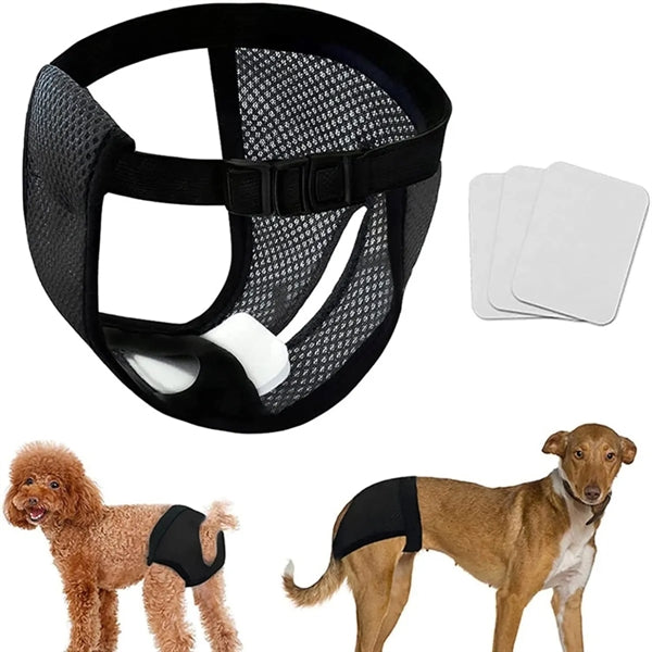 Female Dog Pants in Heat