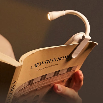 Clip On Reading Light