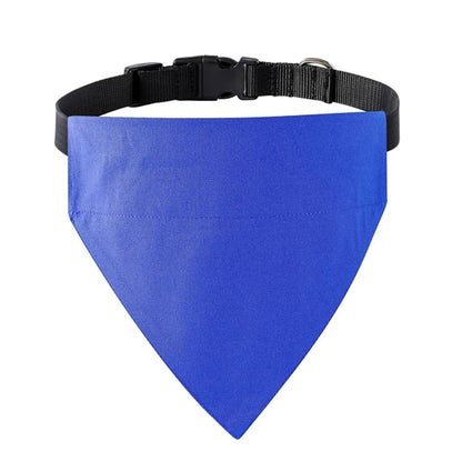Adjustable Dog Collars