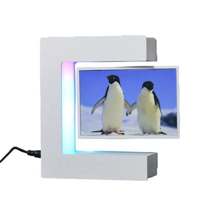Magnetic Levitation Frame