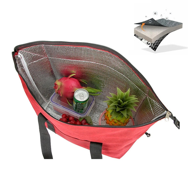 Jumbo Insulated Cooler Bag