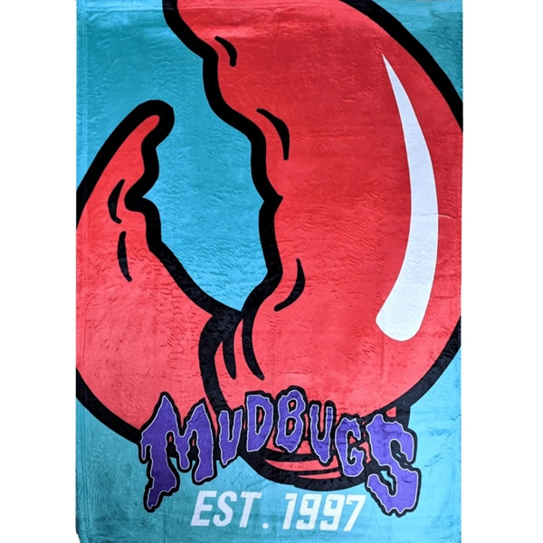 30" X 40" Plush Silk Touch Sublimation Blanket 300 GSM