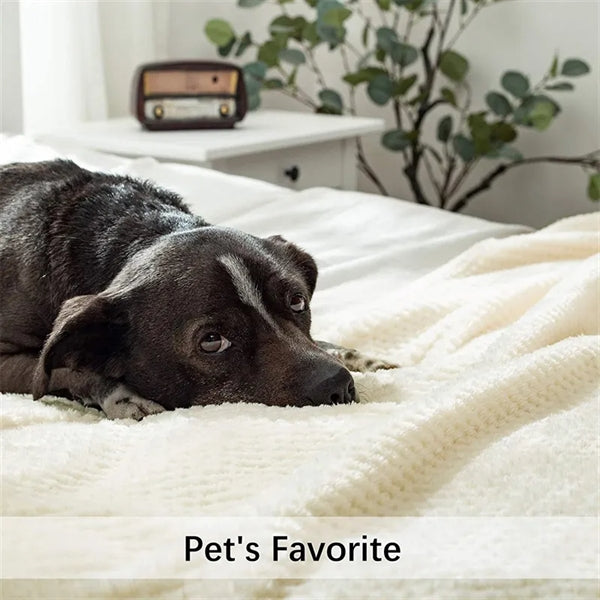 Fleece Throw Blanket 40" x 60"