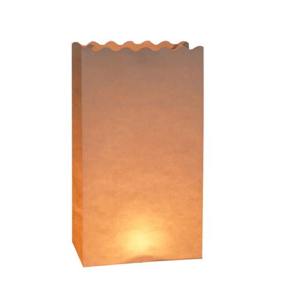 Luminary Flame Retardant Paper Bags
