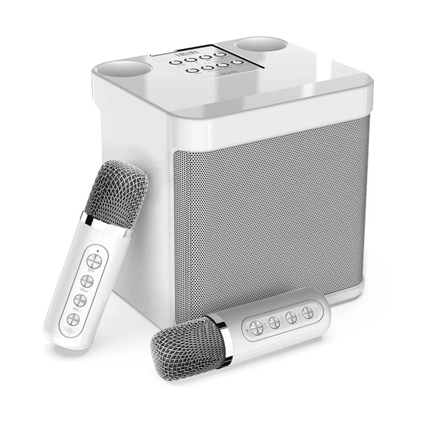 Portable Wireless Karaoke Machine