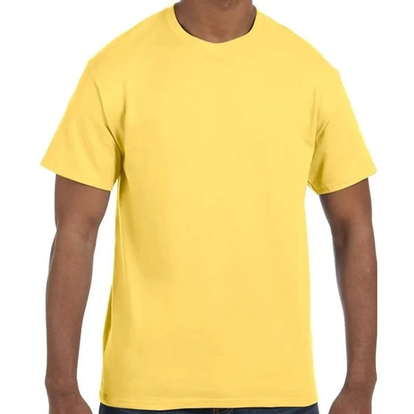 Hanes Men's Authentic-T T-Shirt