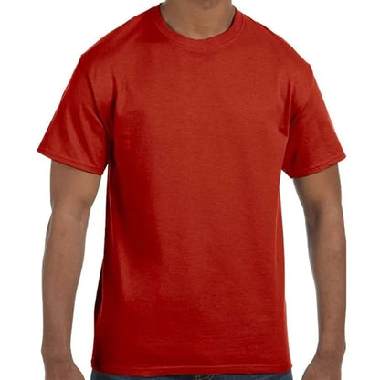 Hanes Men's Authentic-T T-Shirt
