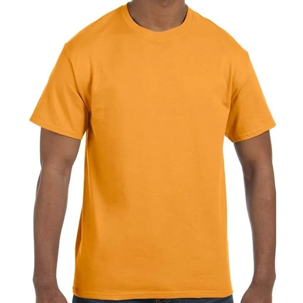 Hanes Men's Authentic-T T-Shirt