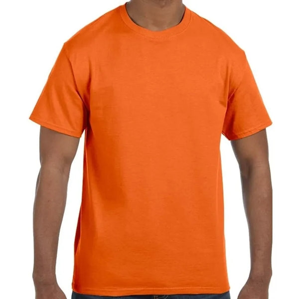 Hanes Men's Authentic-T T-Shirt