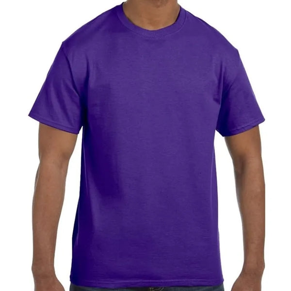 Hanes Men's Authentic-T T-Shirt