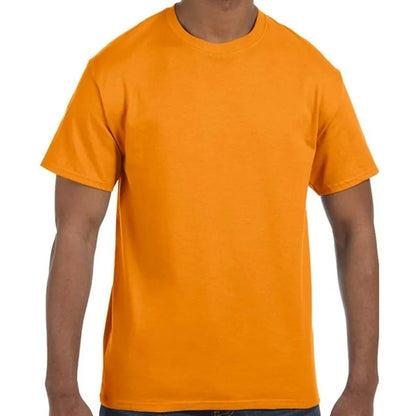Hanes Men's Authentic-T T-Shirt