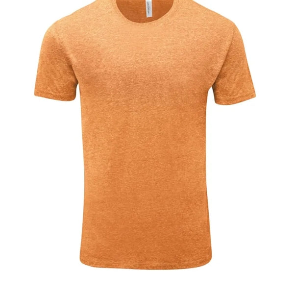 Threadfast Apparel Unisex Triblend Short-Sleeve T-Shirt