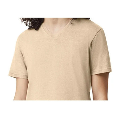 American Apparel Unisex CVC V-Neck T-Shirt