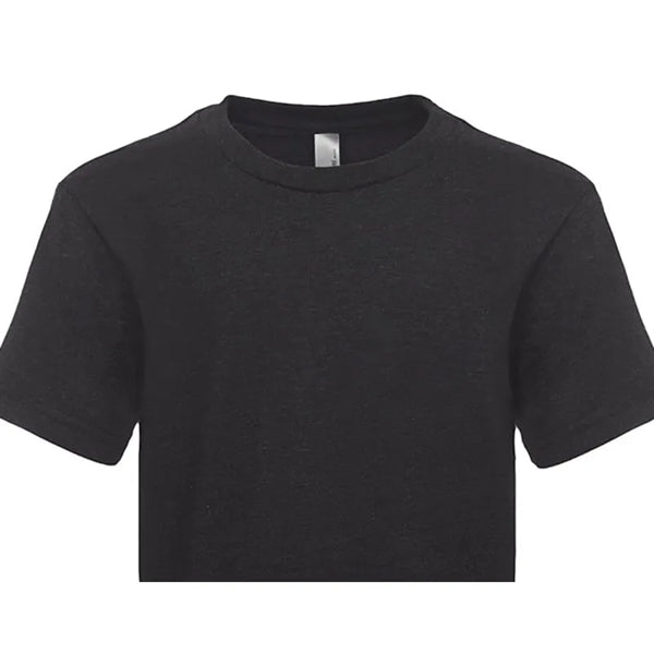 Next Level Apparel Youth Triblend Crew