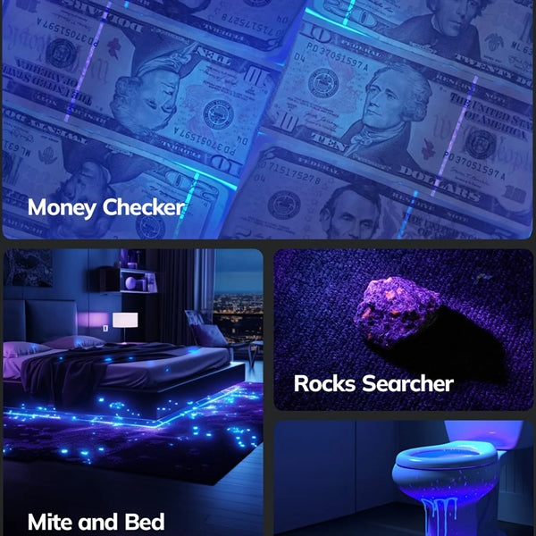 12 LED 395nm UV Mini Blacklight Flashlight