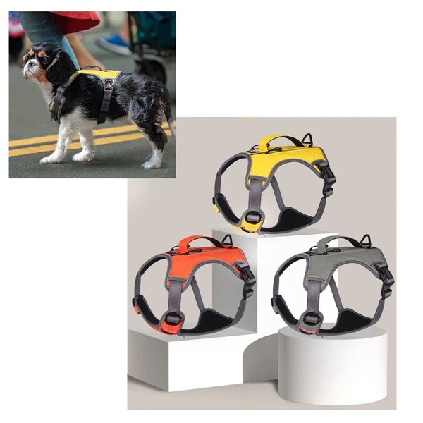 Dog Vest