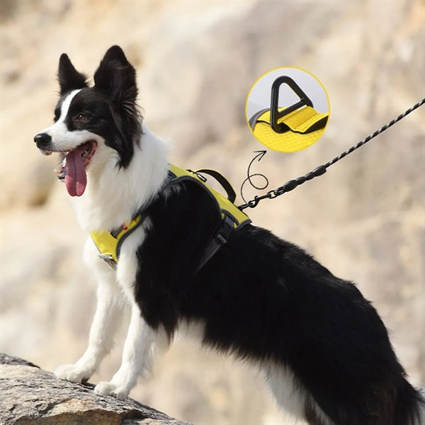 Dog Vest