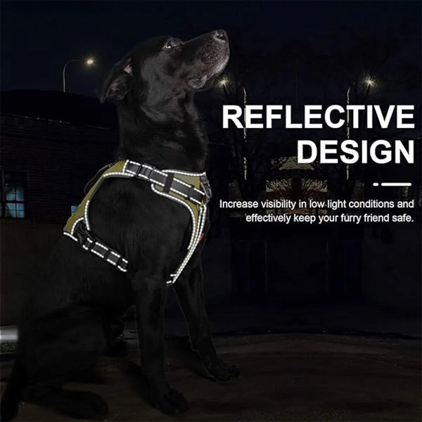 Dog Vest
