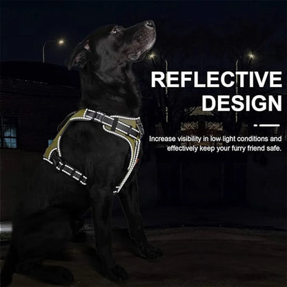 Dog Vest