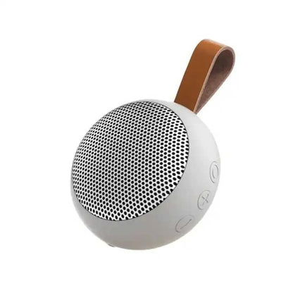 Bluetooth Shower Speaker