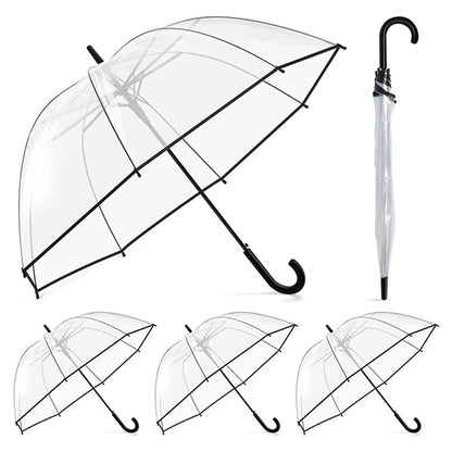 Clear Umbrella