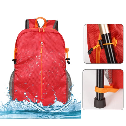 Lightweight Packable Backpack
