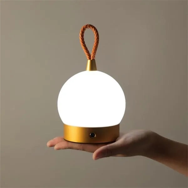 Outdoor Camping Light