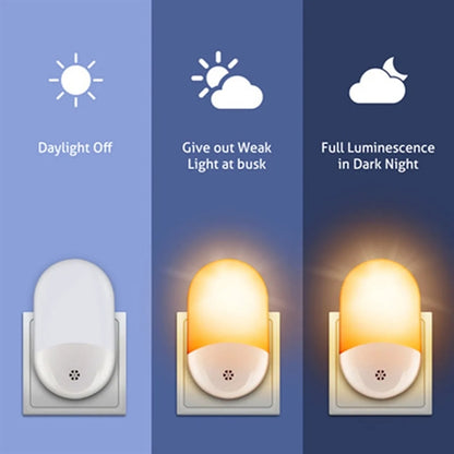 LED Night Light