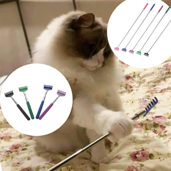 Stainless Steel Back Scratcher