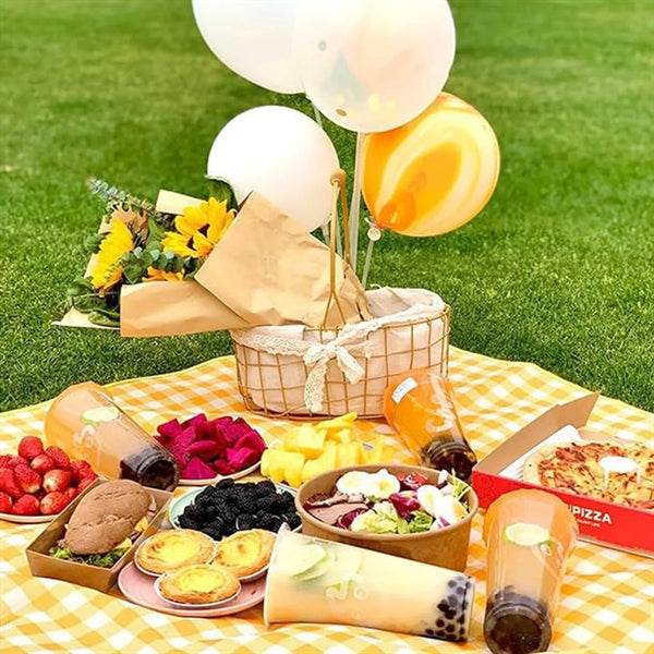 Large Picnic Blanket
