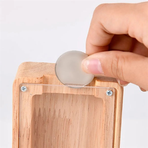 Wooden Piggy Bank