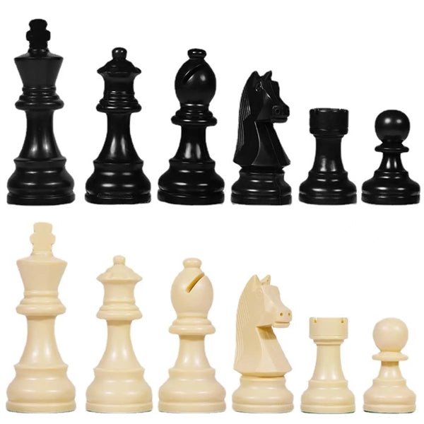 Travel Chess Set With Carry Bag