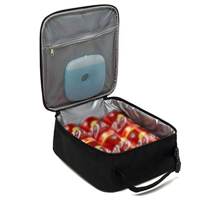 Portable Insulated Zipper Case Lunch Cooler Mesh Tote Bag