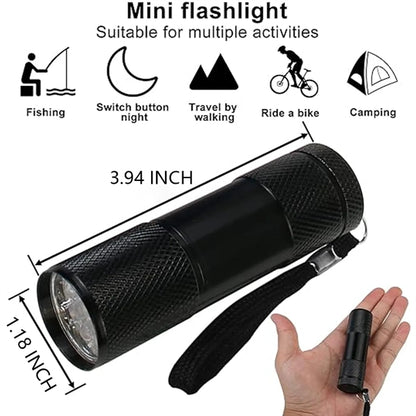 High Luminous Intensity Portable Ultra Violet Flashlight