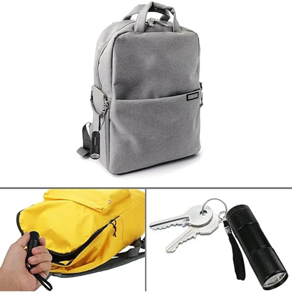 High Luminous Intensity Portable Ultra Violet Flashlight