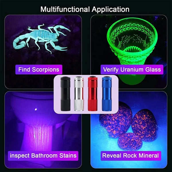 High Luminous Intensity Portable Ultra Violet Flashlight