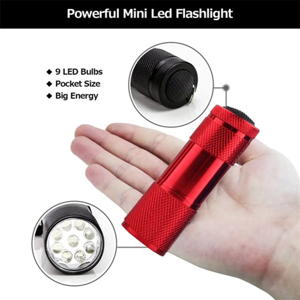 High Luminous Intensity Portable Ultra Violet Flashlight