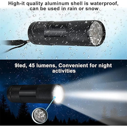 High Luminous Intensity Portable Ultra Violet Flashlight