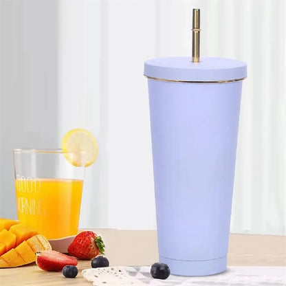 25oz Stainless Steel Insulated Tumbler With Straw Lid
