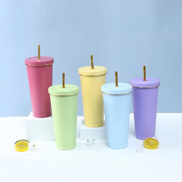 25oz Stainless Steel Insulated Tumbler With Straw Lid