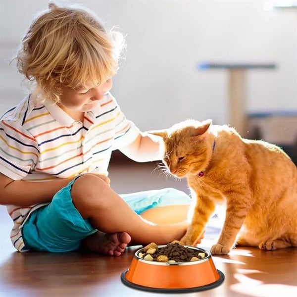 Durable Stainless Steel Pet Bowl Cat